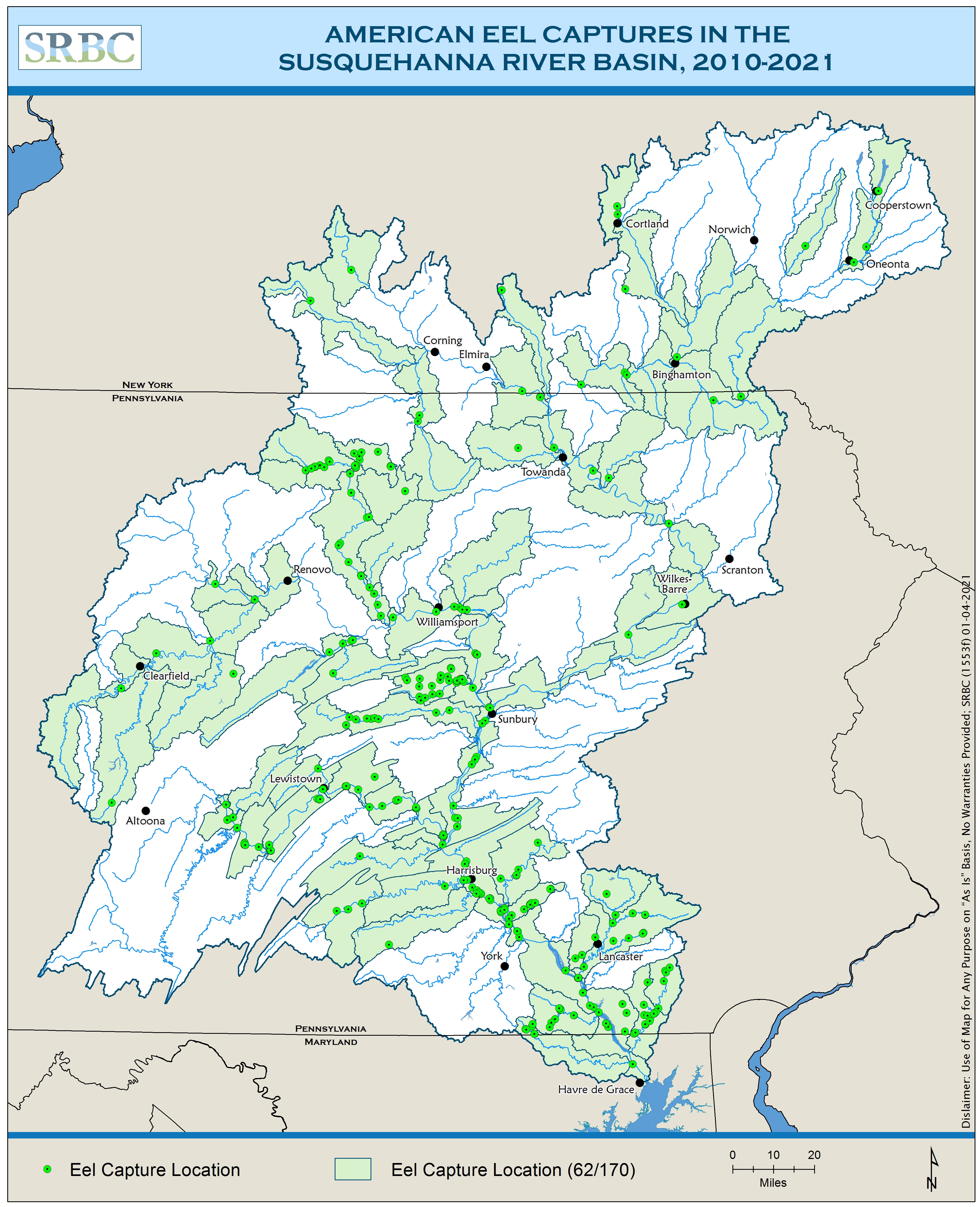 Current eel distribution 2021