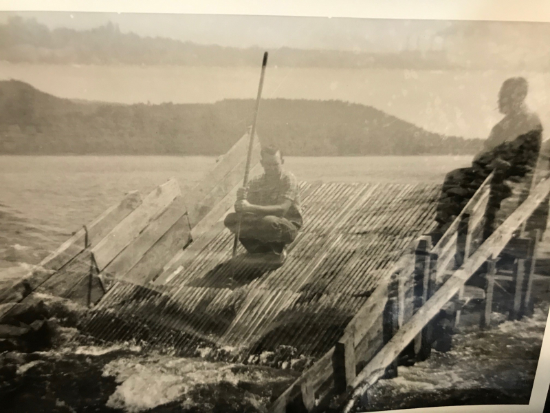 Historical picture of eel weir in Sunbury, PA, by Bill Simcox