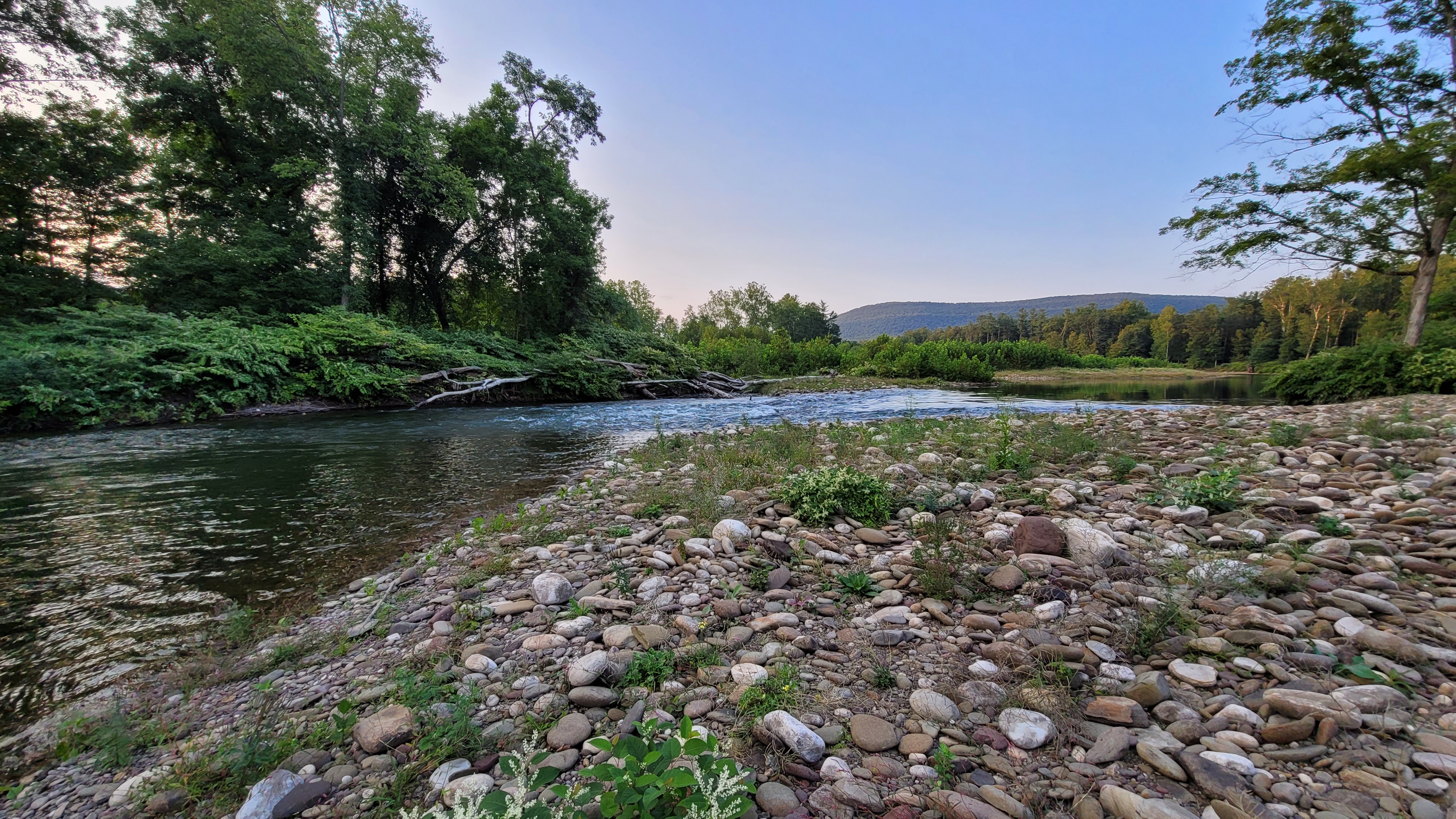 Loyalsock Creek