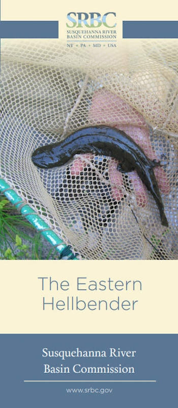 SRBC Eastern Hellbender Pamphlet