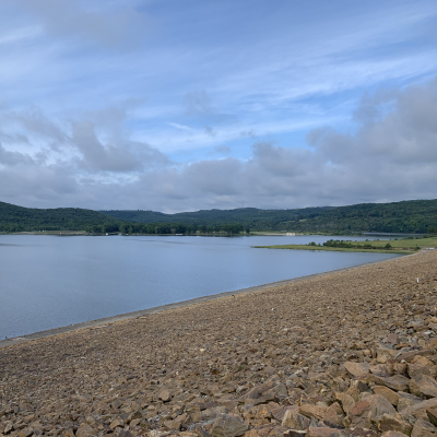 Curwensville Lake