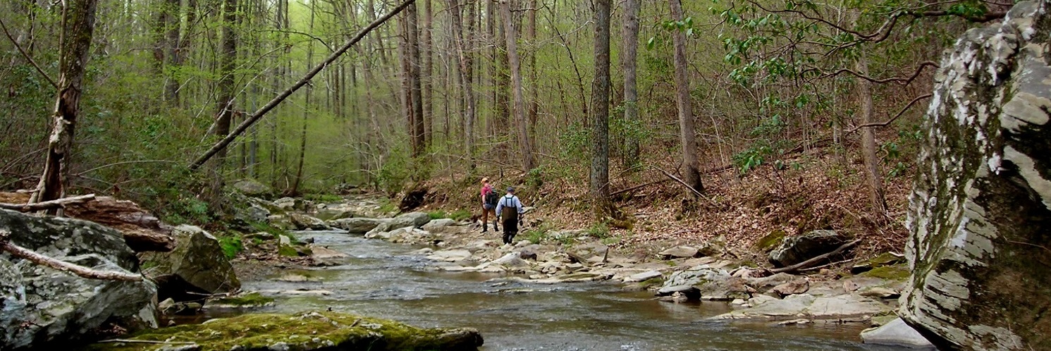 Sampling at Deer Creek