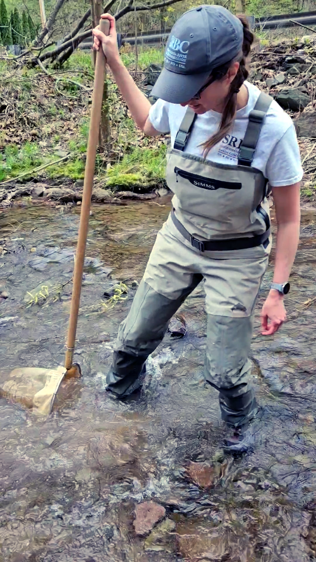 Sample for Macroinvertebrates