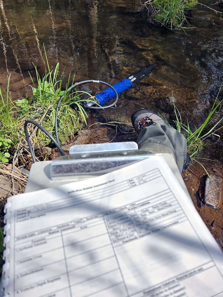 Sonde unit and paper form