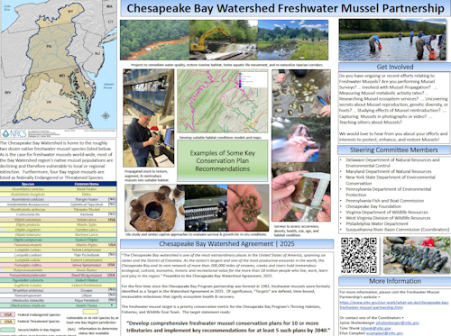 Chesapeake Bay Watershed Freshwater Mussel Partnership Poster