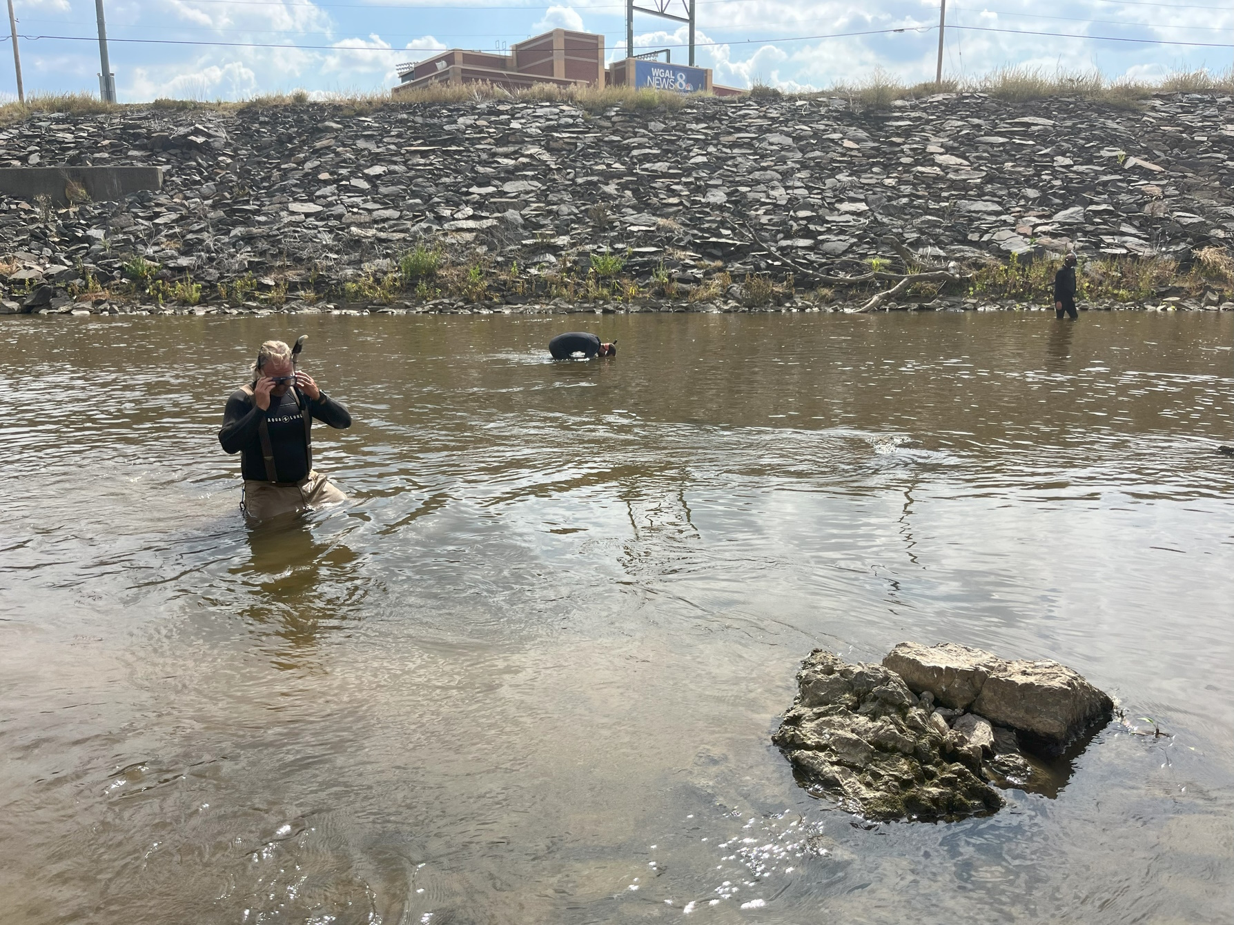 Mussel Sampling in Codorus Creek