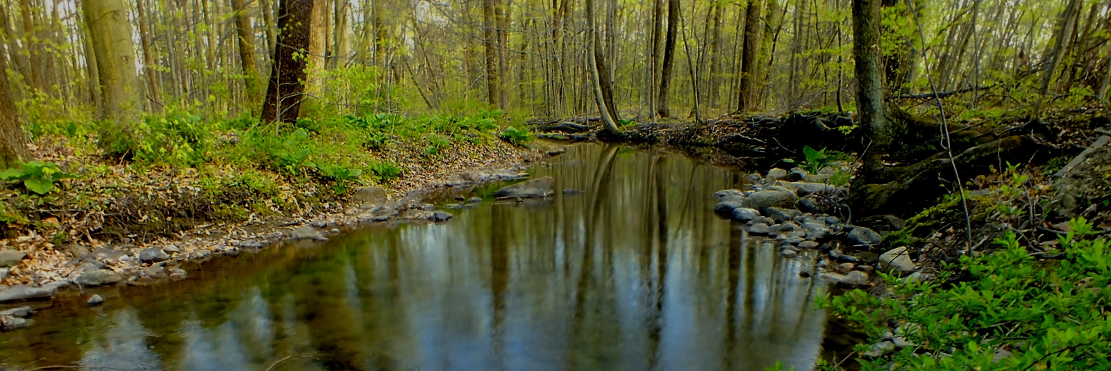 Little Bushkill Creek