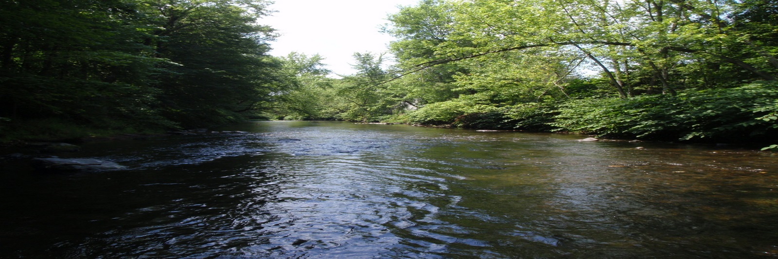 Lackawanna River